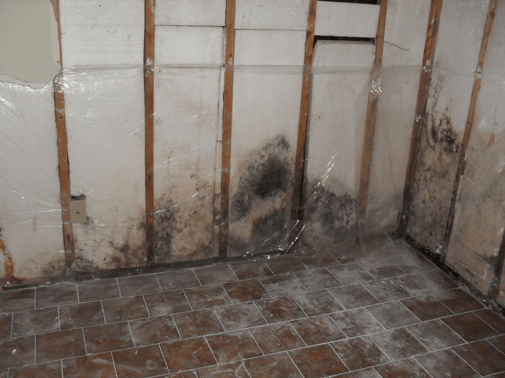 Water damage restoration tips