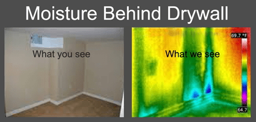 Can thermal imaging detect mold in walls? - Blackview Blog