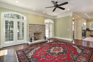 Rug clean up services