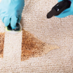 carpet cleaning palos verdes ca